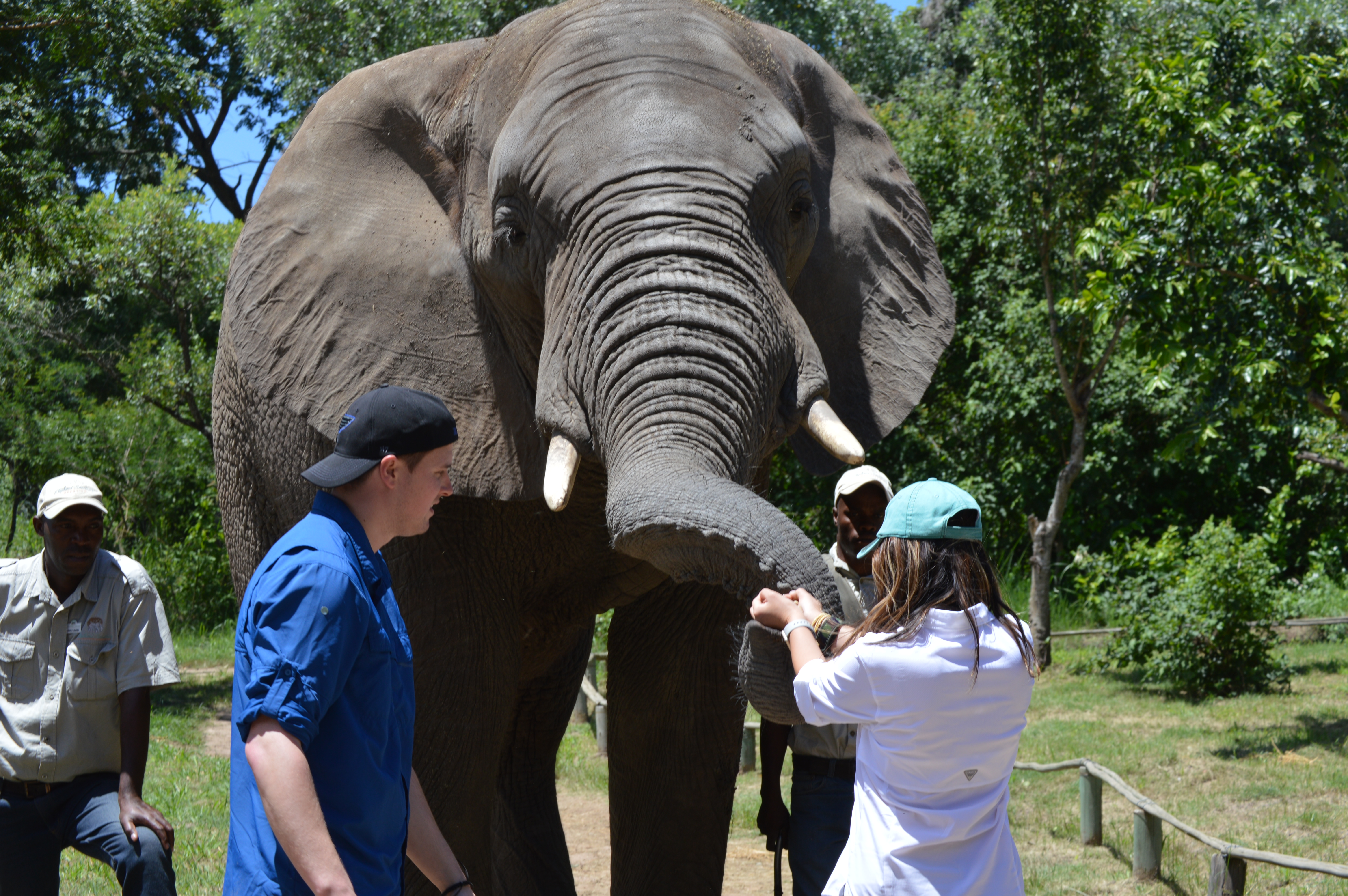 Kruger National Park-Elephant Sanctuary-Red Africa Safaris